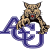 Wildcat 86