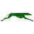 greenandsilver