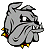 Bulldogdad