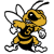 WVSUDAD