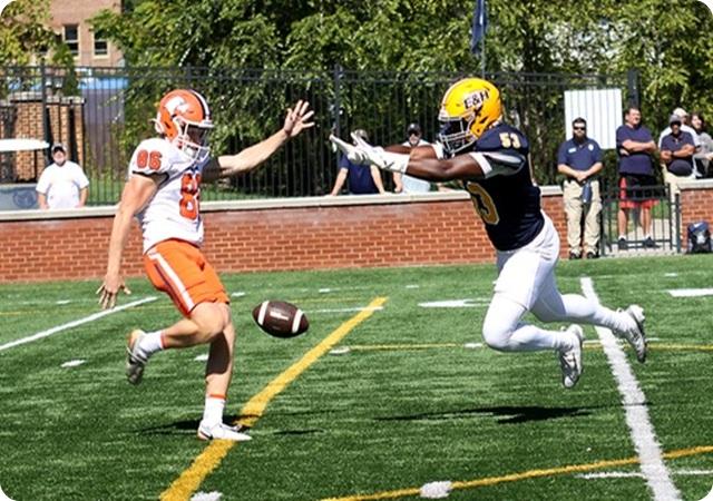 Wasps Swarm No. 22 Carson-Newman