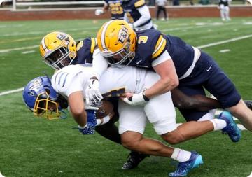 Wasps Upend No. 21 Mars Hill for Homecoming Win