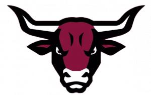 cmumavericks