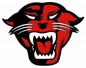 dupanthers