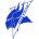 Elizabeth City State