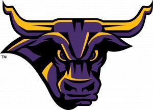 msumavericks