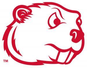 msubeavers